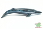 Preview: Schleich Blauwal 14552